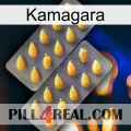 Kamagara cialis2